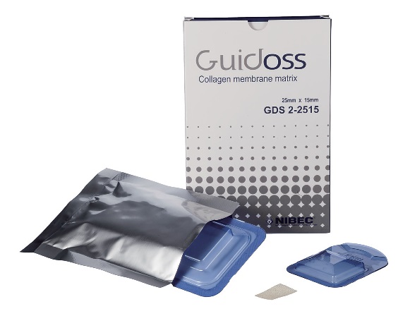 Guidoss_02