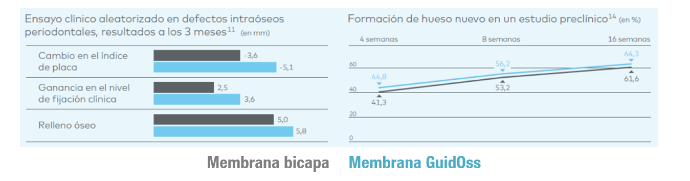 membrana--bicapa--guidoss