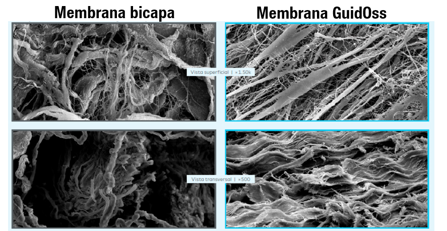 membrana-bicapa--guidoss1