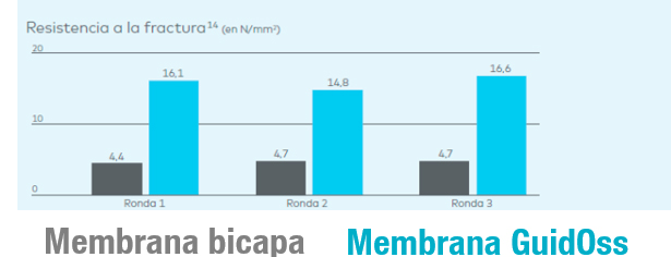 membrana-bicapa--guidoss2